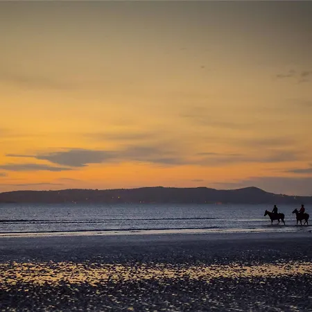 Hotel Shoreline Hotel, An Ascend Collection